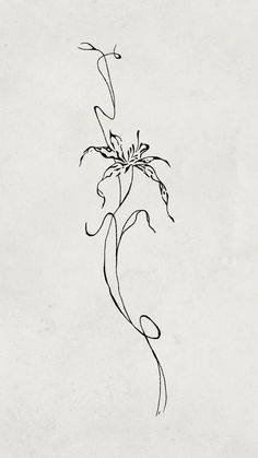 id:ali904 Small Minimalistic Tattoos For Women, Tattoo Over Back Scar, Hip Tattoos Both Sides, Flower From Rapunzel Tattoo, Lily Flower Tattoos Back, Line Work Flower Tattoo Simple, White Tattoos Healed, Orchids Tattoos For Women, Back Tattoo Vines