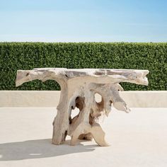 a large piece of driftwood sitting on top of a cement ground next to a hedge