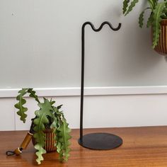 a potted plant sitting on top of a wooden table next to a wine bottle holder