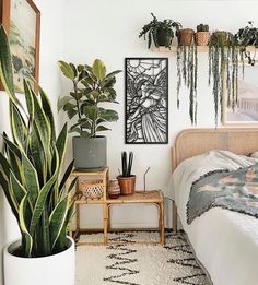 a bedroom with plants and pictures on the wall