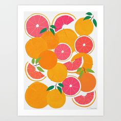 oranges and grapefruits are arranged in an art print on white paper