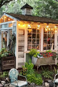 an old shed is decorated with flowers and potted plants in the yard, along with two lawn chairs