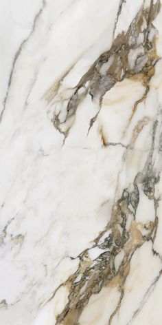 the marble is white and brown in color