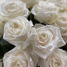 a bouquet of white roses with green leaves