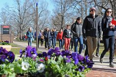 a group of people walking down a sidewalk with purple flowers in the foreground and trees behind them