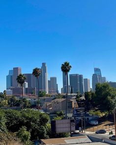 a city skyline with palm trees in the foreground and buildings on the other side