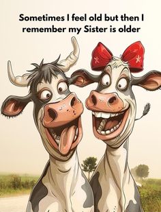 two cows with red bows on their heads are standing next to each other and the caption says sometimes i feel old but then i remember my sister is older