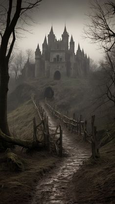 a path leading to a castle in the fog