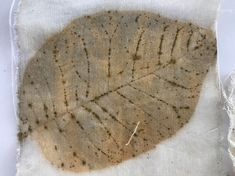 a piece of cloth with some type of leaf on it