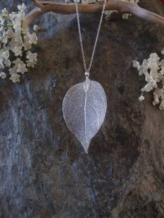 This beautiful necklace is made with a real leaf dipped in silver. The amazing delicate details of the leaf has been preserved by the electroforming process creating a beautiful and unique gift of nature. This necklace is durable, lightweight and very elegant. These real leaves are from the evergreen Rudraksha tree. Each leaf is unique, therefore, please expect a small variation from the leaves on the photographs. I try my best to match them as closely as possible. The leaves are around 2 inches Silver Leaf-shaped Nature-inspired Necklace, Elegant Sterling Silver Leaf-shaped Necklace, Silver Leaf-shaped Necklace Gift, Silver Leaf-shaped Necklace For Gift, Silver Leaf-shaped Necklaces For Gift, Handmade Sterling Silver Leaf-shaped Necklace, Handmade Sterling Silver Leaf Necklace, Elegant Sterling Silver Leaf-shaped Jewelry, Elegant Sterling Silver Leaf Jewelry