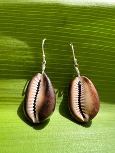 two seashells are sitting on a green surface with long silver earwires