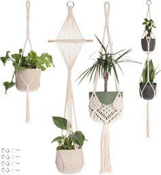 macrame plant hangers with plants in them