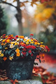 Explore charming fall planters perfect for enhancing your home this autumn season. This pin showcases colorful arrangements that bring warmth and style to your porch, making your home feel welcoming.