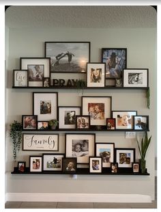 a wall filled with lots of pictures and framed photos next to a potted plant