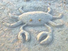 a sand crab is on the beach and it looks like he's made out of sand