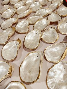 several oysters are laid out on a table