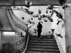 black and white photograph of man standing on stairs surrounded by birds flying around the staircase