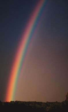 a rainbow is shining in the sky over trees