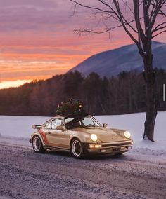 a car with a christmas tree on the roof driving down a snow covered road at sunset