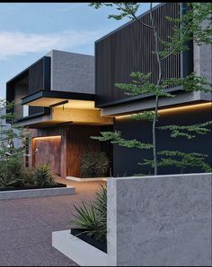 an exterior view of a modern house with plants in the foreground and trees on the other side