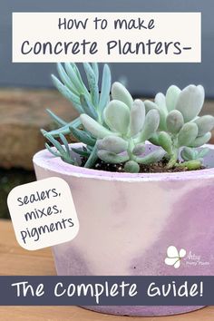 a purple potted plant sitting on top of a wooden table with the words how to make concrete planters