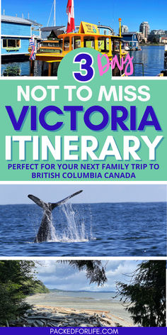 3 Day not to miss Victoria Canada itinerary. Whale breaching, sunny sandy beach view, cute water taxi at Fisherman's Wharf. Victoria Canada Things To Do In, Victoria Bc Canada Things To Do, Things To Do In Vancouver Canada, Island Bucket List, West Coast Canada, Vacation 2024, Itinerary Ideas, Victoria Bc Canada