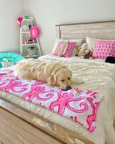 a white dog laying on top of a bed with pink and blue pillows in a bedroom