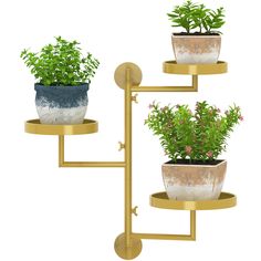 three potted plants sitting on top of two metal shelves next to eachother