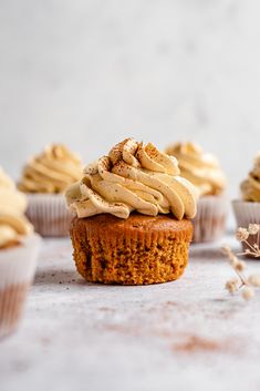 several cupcakes with frosting and cinnamon sprinkles