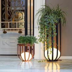 two potted plants sitting next to each other in front of a door with lights