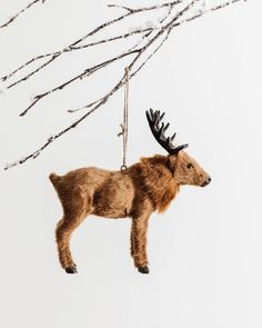 a deer ornament hanging from a tree branch