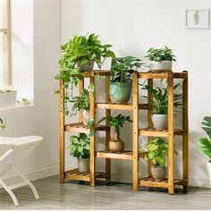 there are many potted plants on the shelves next to each other in this room