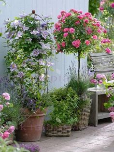 some pink and purple flowers are in pots