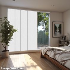 an empty bedroom with large windows and a plant in the corner on the side of the bed