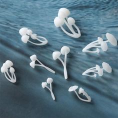 several white plastic objects floating in the water