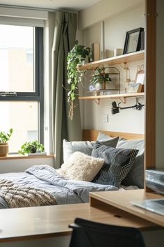 Engaging pin showcasing cozy rustic chic dorm room decor ideas using 1 image, perfect for college students seeking stylish and inviting spaces.