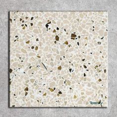 White Terrazzo Sample White Terrazzo, Hedges, Interior Design, Architecture, White, Home Decor, Home Décor