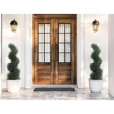 two potted plants sit on the front steps of a house, next to a wooden door