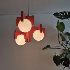 three lights hanging from the ceiling next to a potted plant