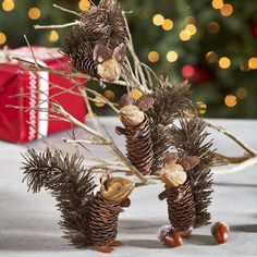 pine cones and nuts are arranged in front of a christmas tree with presents on the table