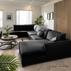 a living room filled with black couches next to a coffee table and potted plants