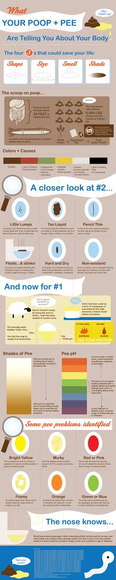 What your poop and pee mean! Timeline Project, Diagram Template, 404 Pages, Info Board, Project Planning, Math Methods, Health Products