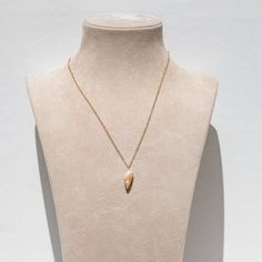 Description: This dainty seashell necklace features a tiny conch shell delicately wrapped in golden wire. Length: 18 inches Materials: Handcrafted using a genuine shell, non-tarnish golden lacquered copper wire, and stainless steel chain. Seashell Necklace, Conch Shell, Conch, Steel Chain, Stainless Steel Chain, Copper Wire, Sea Shells, Shells, Copper