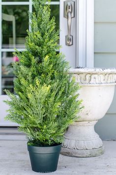 a potted plant sitting next to a white door