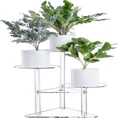 three plant stands with plants in them