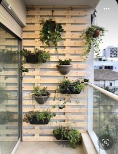 the vertical planter on the wall is filled with potted plants