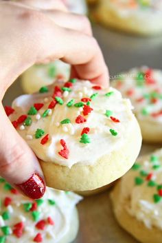 a hand picking up a frosted sugar cookie