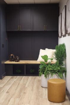 a plant in a white vase sitting on top of a wooden floor next to a bench