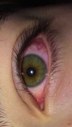 an eyeball is seen in this close up photo taken by someone with green eyes