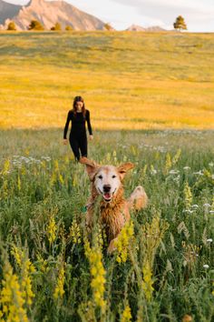 a woman and her dog are walking through the tall grass